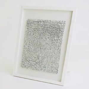 img 6888